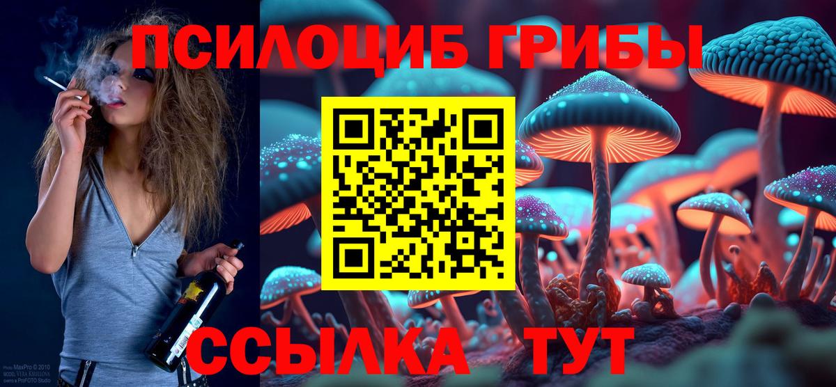 Ачхой-Мартан  хочу наркоту  Вход с VPN  Галлюциногенные грибы мухоморы 